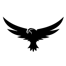 Bincy
